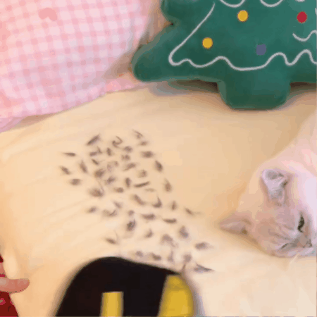 Sheddi™ Pet Hair Remover Glove
